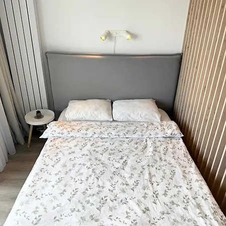 View - Modern Cu Balcon Panoramic Si Lumina Naturala Cu Catre Oras Si Munte *