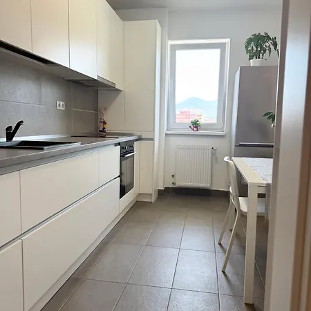 View - Modern Cu Balcon Panoramic Si Lumina Naturala Cu Catre Oras Si Munte Apartment