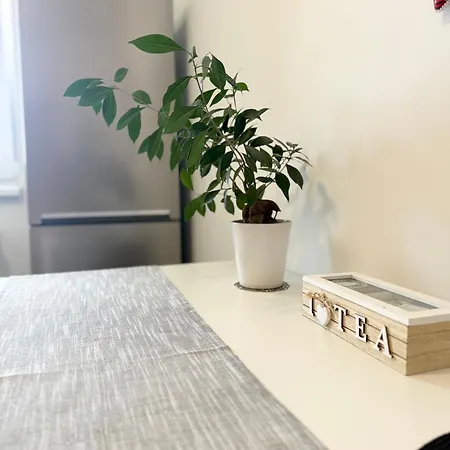 Apartment View - Modern Cu Balcon Panoramic Si Lumina Naturala Cu Catre Oras Si Munte