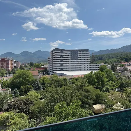 View - Modern Cu Balcon Panoramic Si Lumina Naturala Cu Catre Oras Si Munte