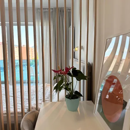 View - Modern Cu Balcon Panoramic Si Lumina Naturala Cu Catre Oras Si Munte Μπρασόβ