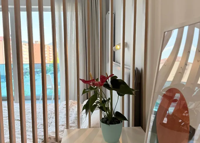 View - Modern Cu Balcon Panoramic Si Lumina Naturala Cu Catre Oras Si Munte Brasov